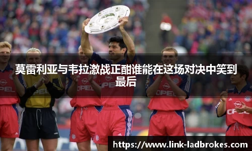 立博官网