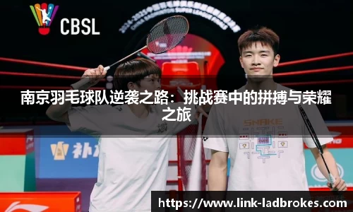 南京羽毛球队逆袭之路：挑战赛中的拼搏与荣耀之旅