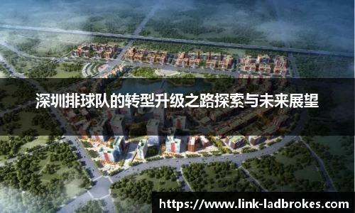 深圳排球队的转型升级之路探索与未来展望